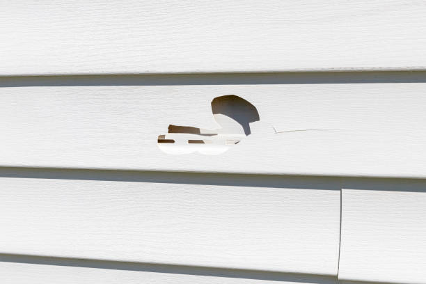 Best Siding for New Construction  in Del Rey Oaks, CA